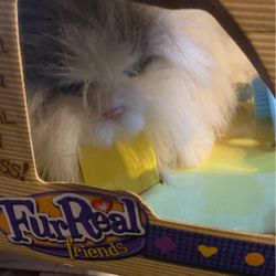 Fur Real Friends 
