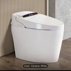 Smart Toilet