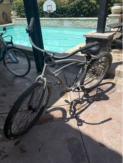 Adult Bicycle