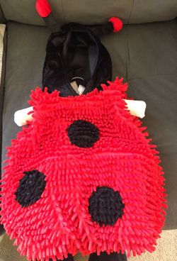 Ladybug Costume- NEW