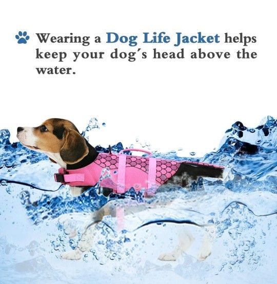 Dog Life Jacket Swimming XL Float Vest Reflective Adjustable Buoyancy Aid Pet