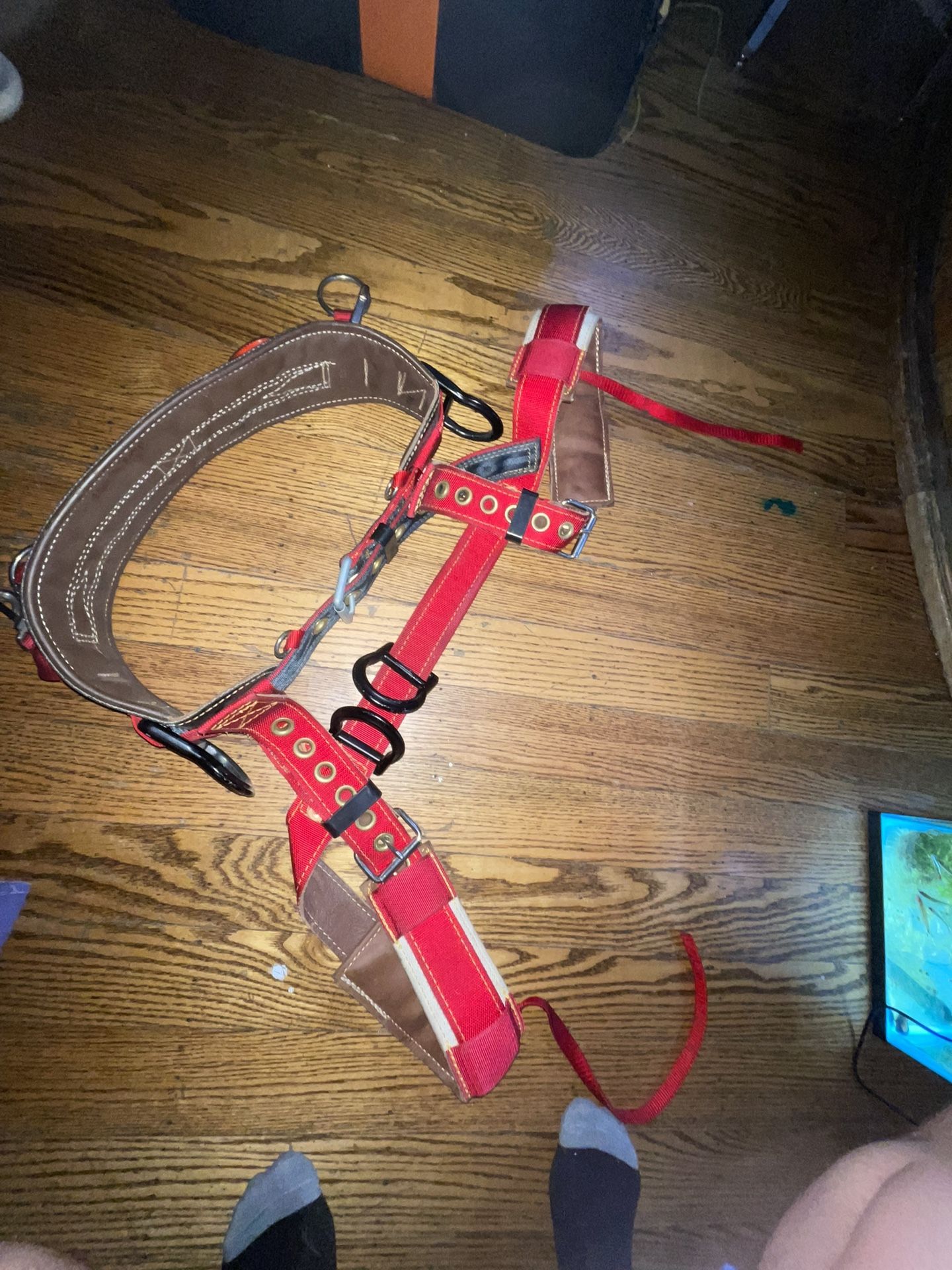 Weaver Tree Climbing Saddle