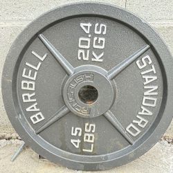 45 Lb Plates
