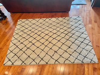 Free Area Rug 5x7