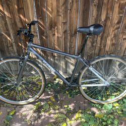 Schwinn Addison 7 Speed Bike