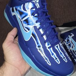 Kobe 5 Xray 