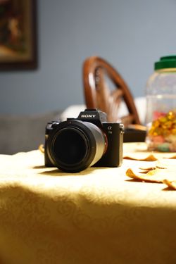 Sony a7iii with kit lens