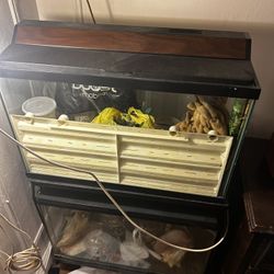 Fish Tanks And Stand 