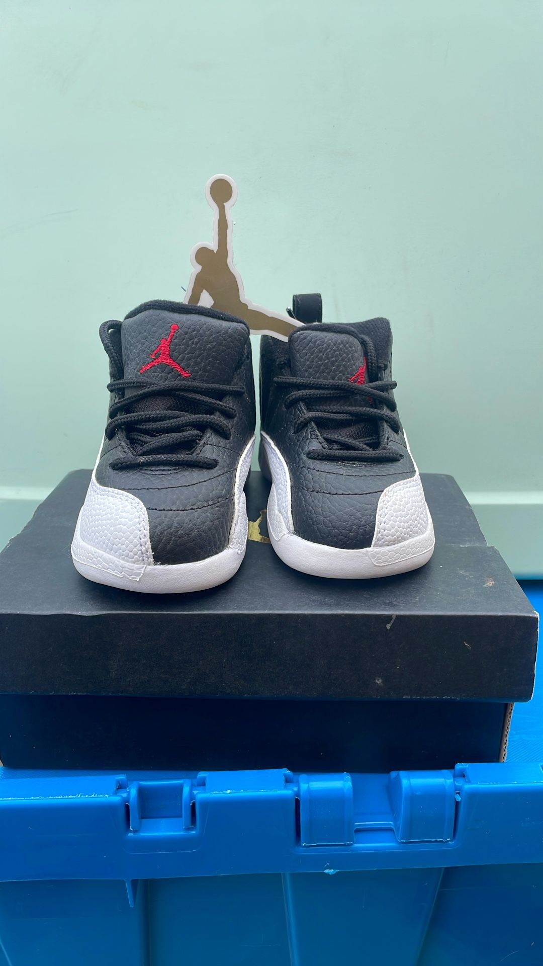Jordan 12 Retro Td 