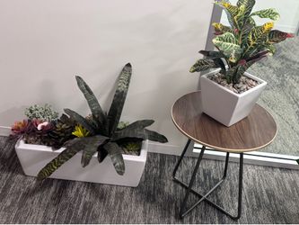 Artificial plants