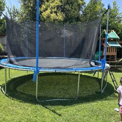 Trampoline 