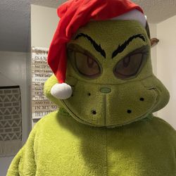 Full 1 Piece Grinch Suit