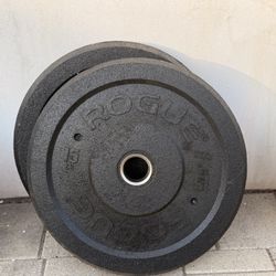 15 LB Rogue Hi-temp Bumper-pair