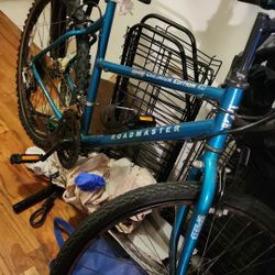 Chrome Edition- Roadmaster 26" Bike