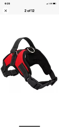 Dog Harness