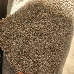New Carpet  With Pad