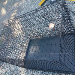 Large dog cage 