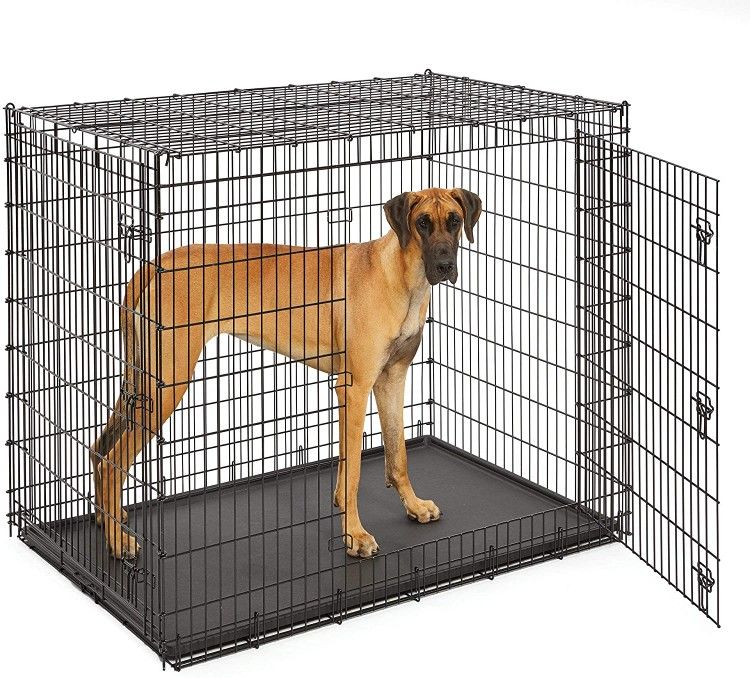 Crate Needed For Service Dog