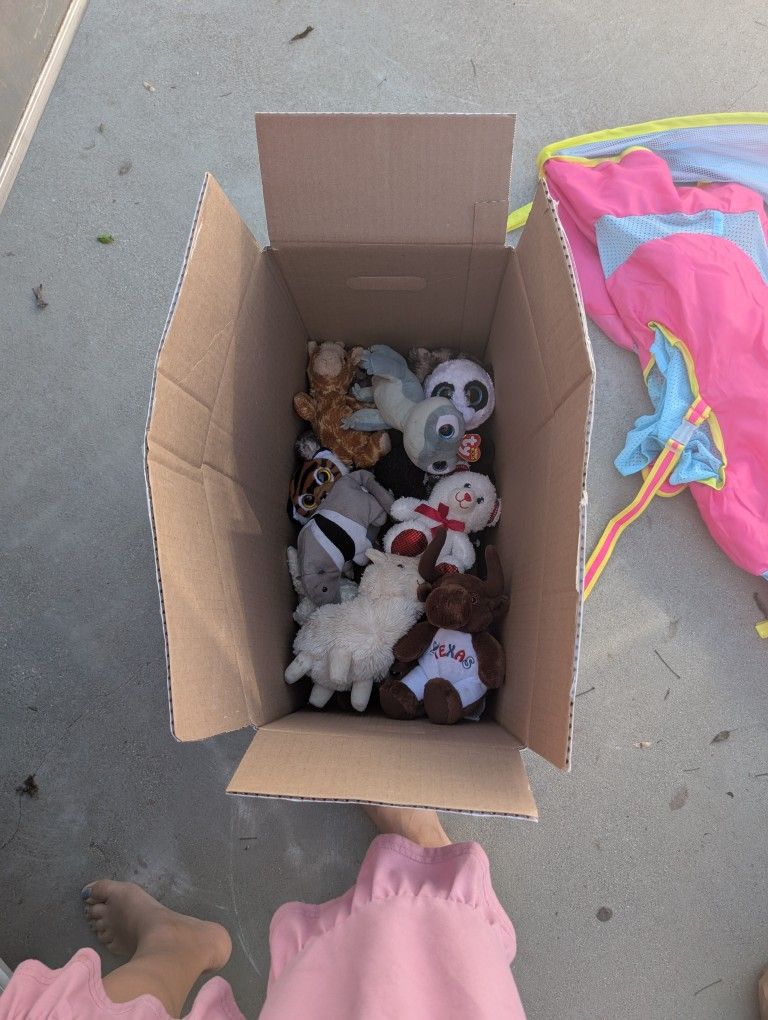 Beanie Babies & Stuffed Animals All 5$ Must Pick Up Before Sunday