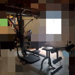 Bowflex Ultimate Home Gym