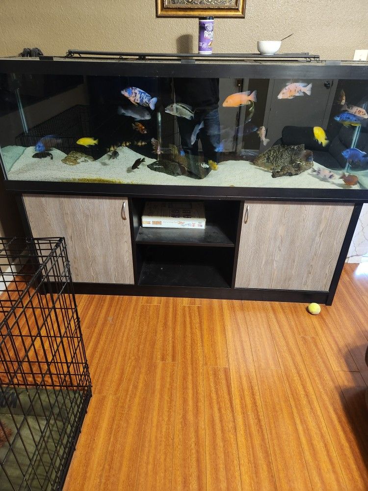 125 Gallon Aquarium/fish Tank 