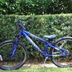 Trek MT 220 Bicycle
