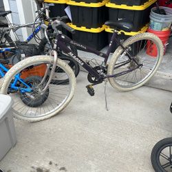 Women’s 26in 12 Speed BIKE