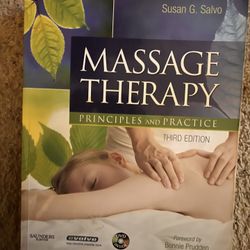Massage Therapy 