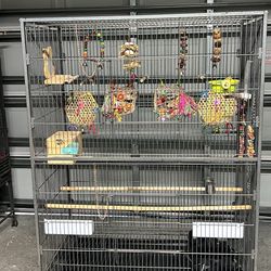 Birds Cage