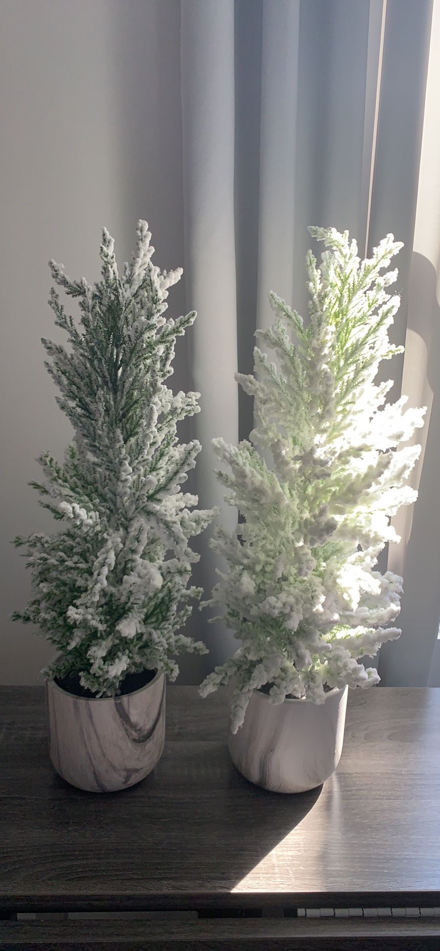 Two brand new flocked Christmas tree 24in