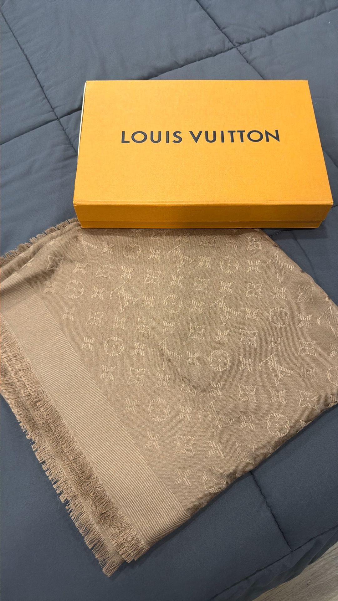 Louis Vuitton Scarf Brown 