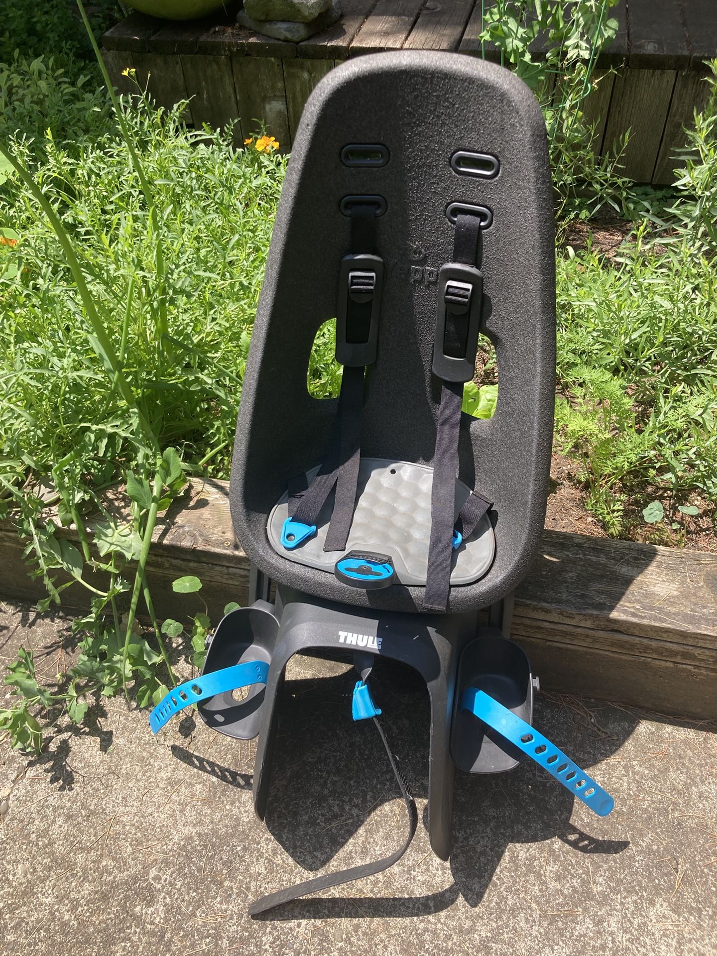 Thule Yepp Nexxt Maxi Child Bike Seat