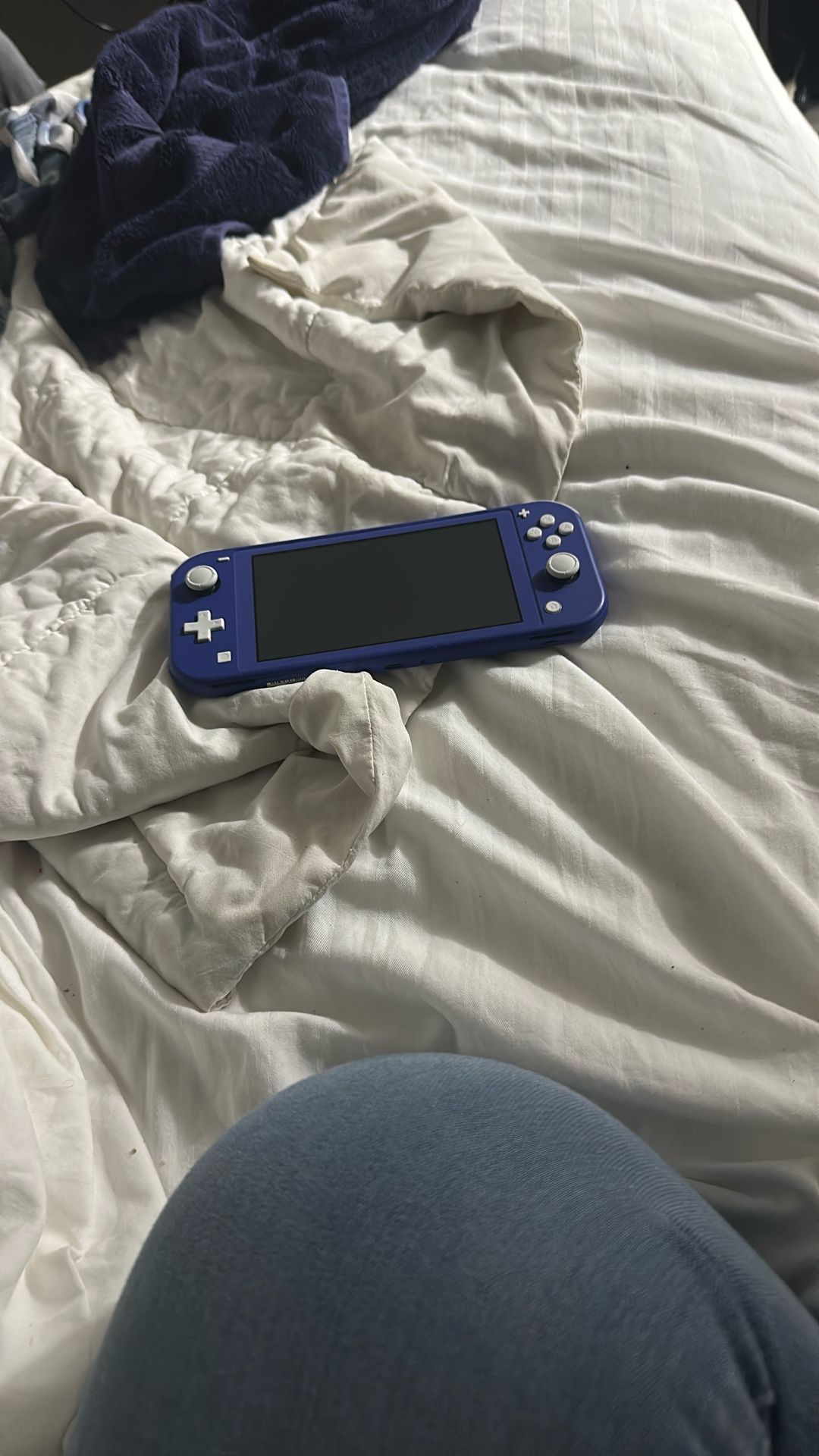 Nintendo Lite