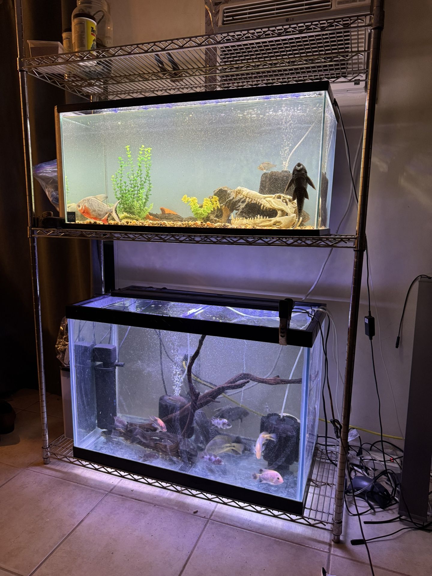 Fish Tank Aquarium Rack And Tanks