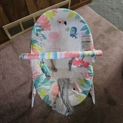 Baby Bouncer 