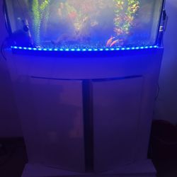 55 Gallon Aquarium