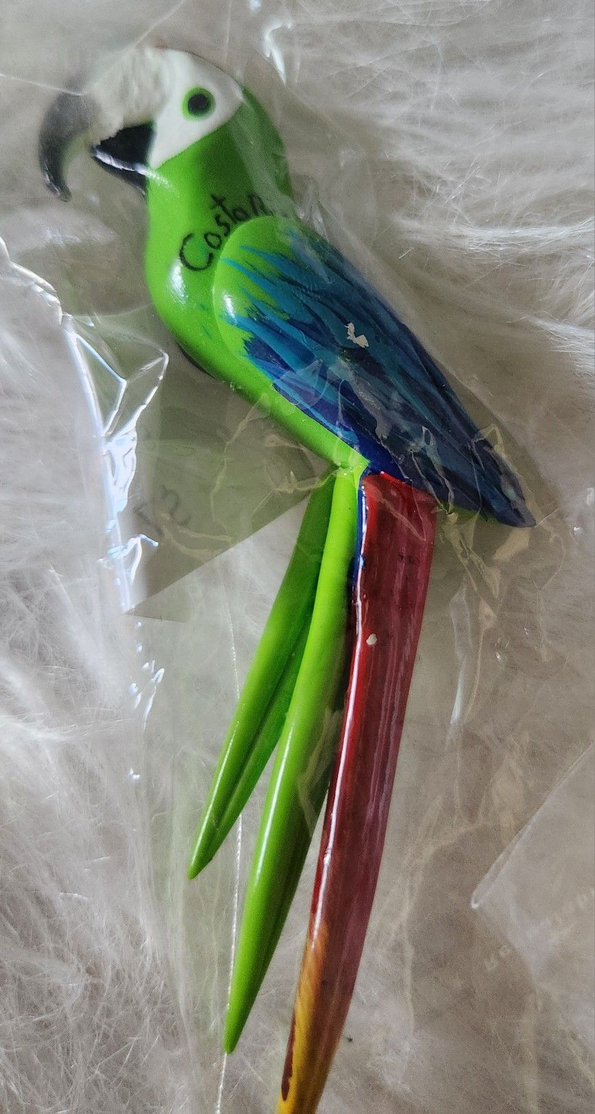 Costa Rica Bird Magnet 