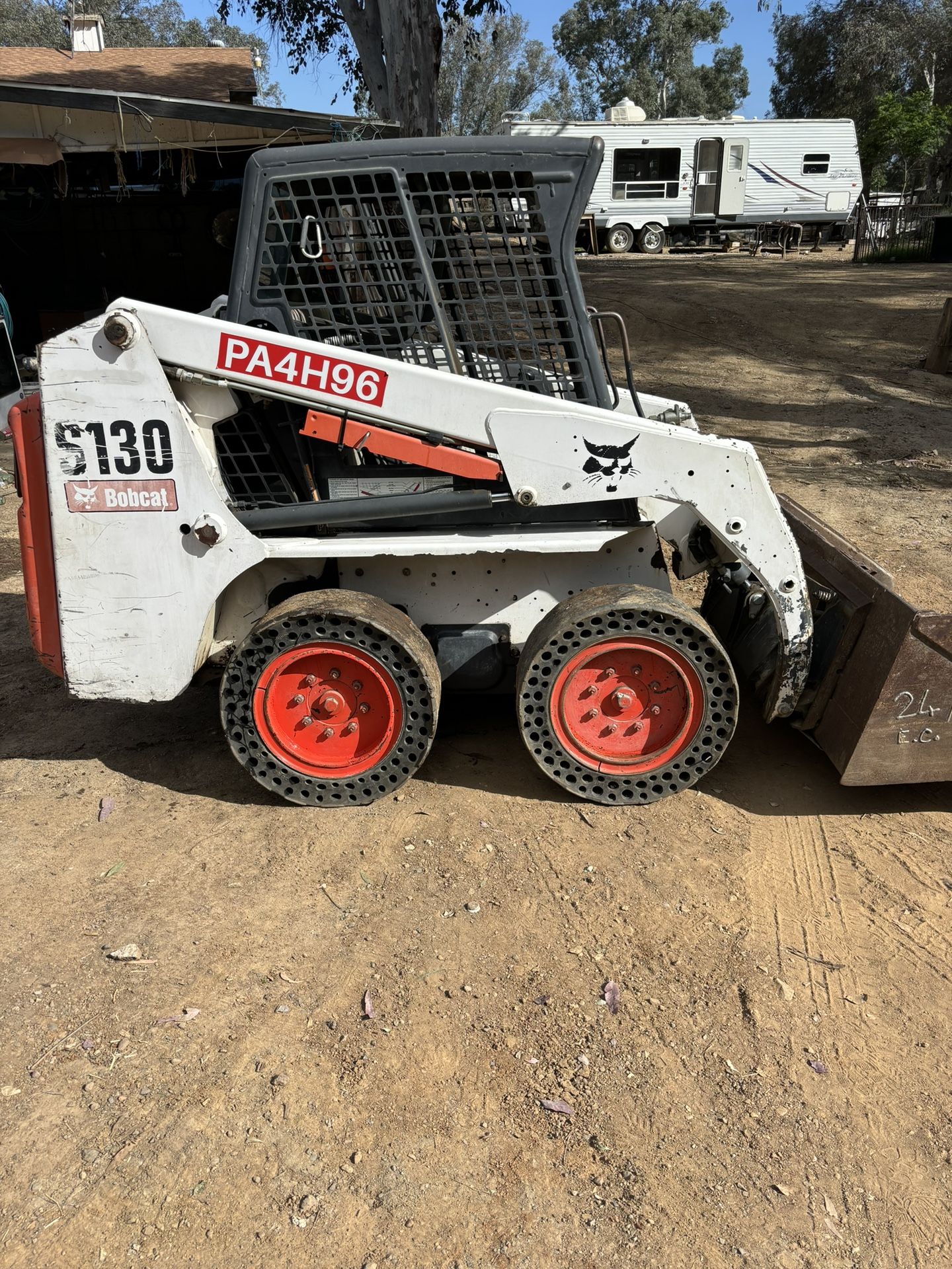 Bobcat