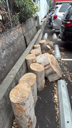 Firewood