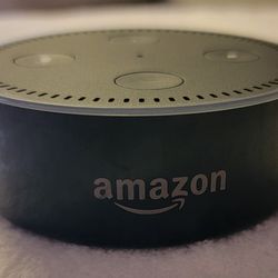 Amazon Echo Dot With Gray Case