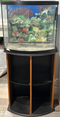 Fish Tank