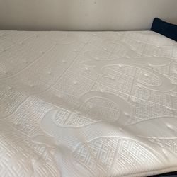 Brands New Mattress