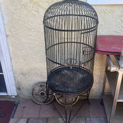 Bird Cage 