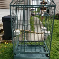 Bird Cage