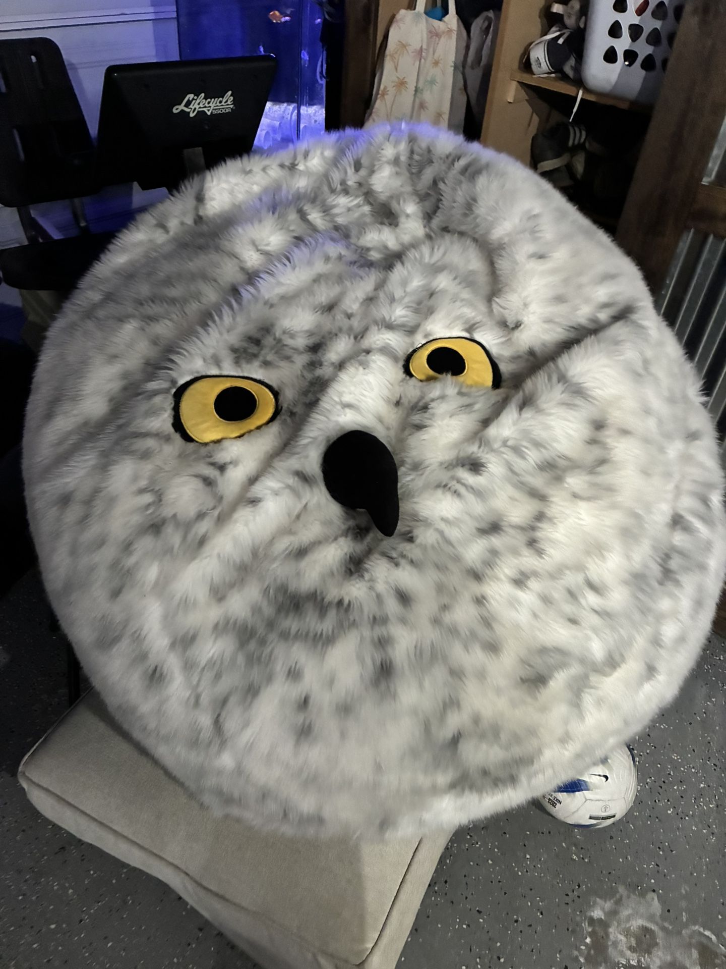 Hedwig Beanbag Chair