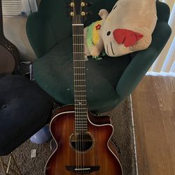 Faith Electro-Acoustic Guitar with Hard Case