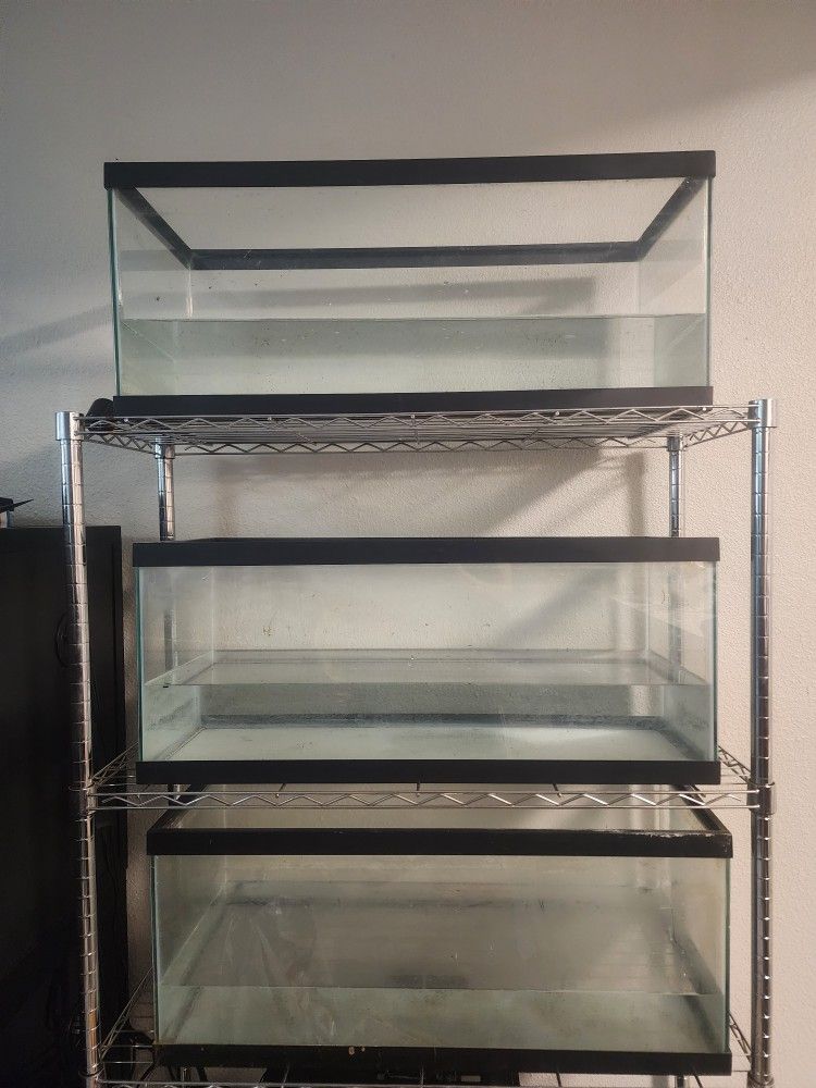 20g Fish Tank
