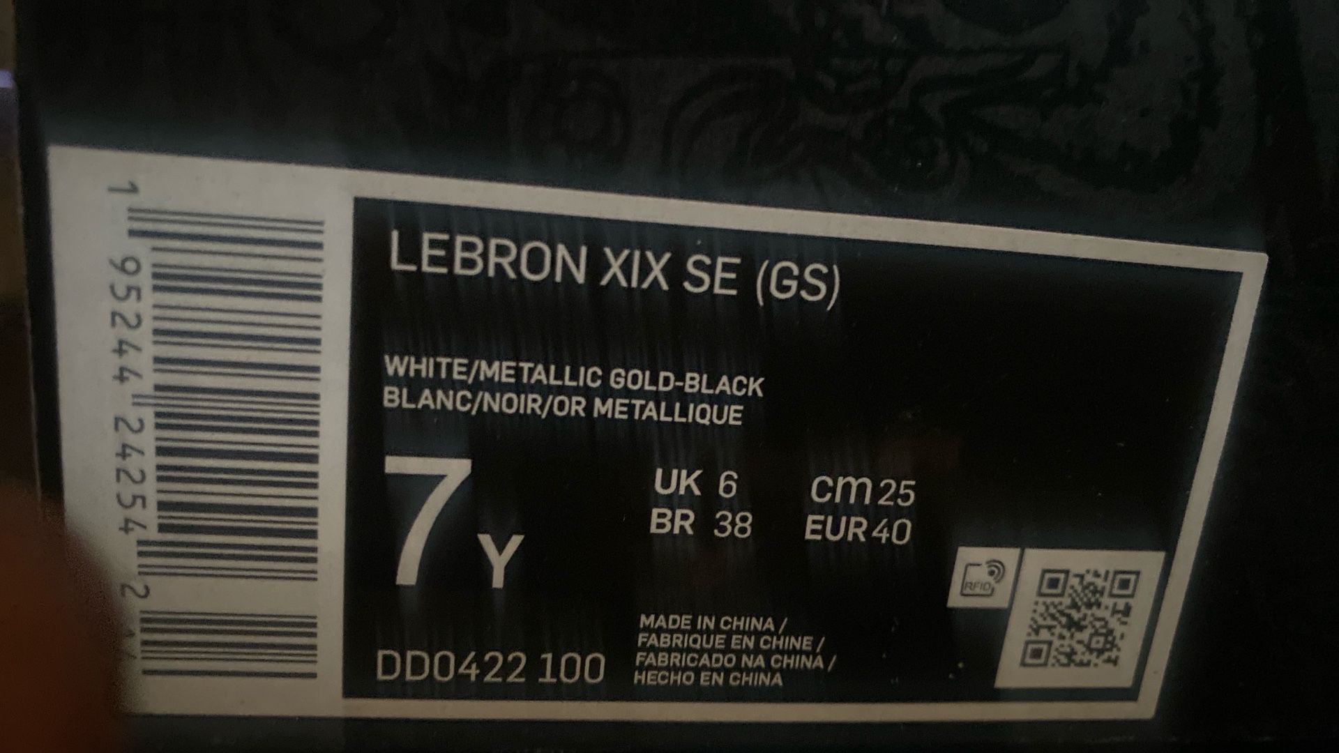 LEBRON 19 SE GS 'WHITE METALLIC GOLD'