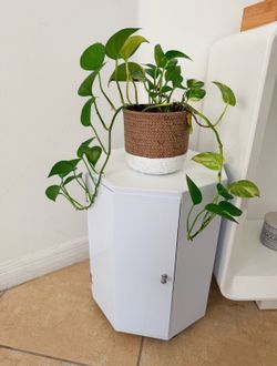Rotating Shoe Organizer