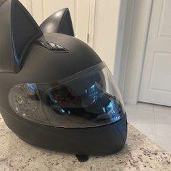 Custom Cat Helmet